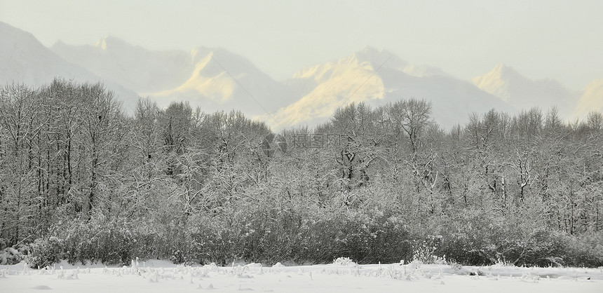 日落时雪雪山野生动物天气全景季节假期风景天空山脉童话顶峰图片