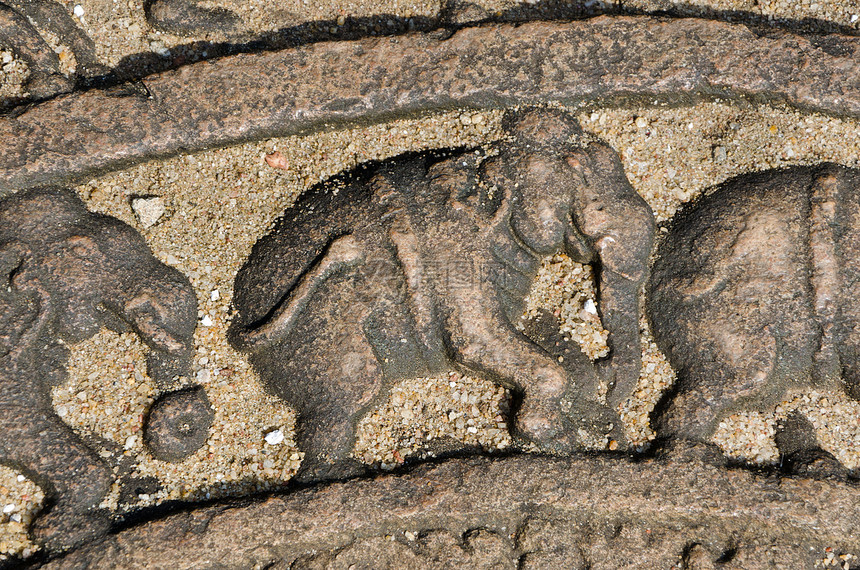 古代Vatadage的月球岩石上的大象石头安全艺术雕塑寺庙废墟旅行宗教守护石文化图片