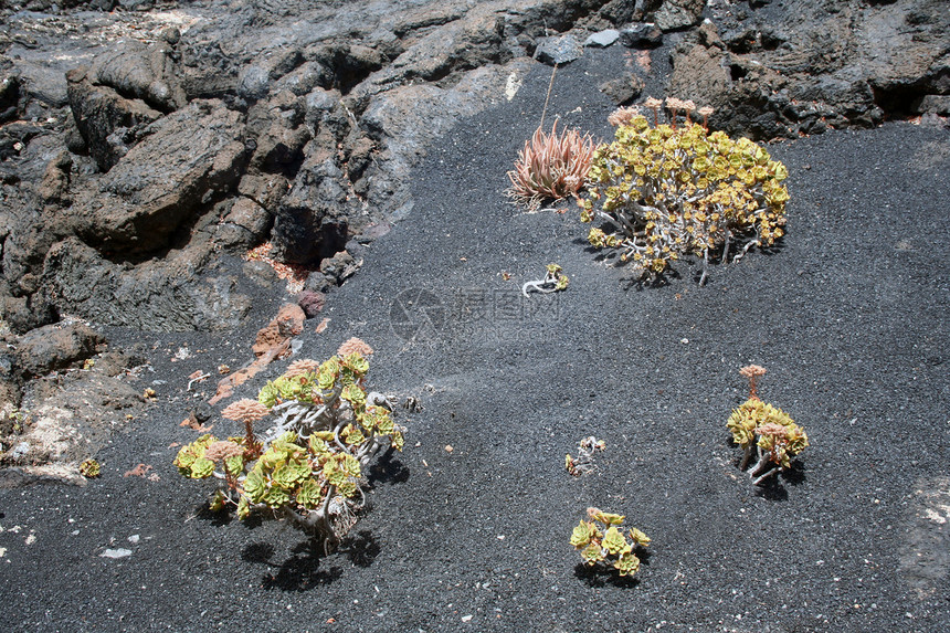 兰萨罗特岛 地貌假期旅游指南全景潜艇火山海滩山脉村庄图片