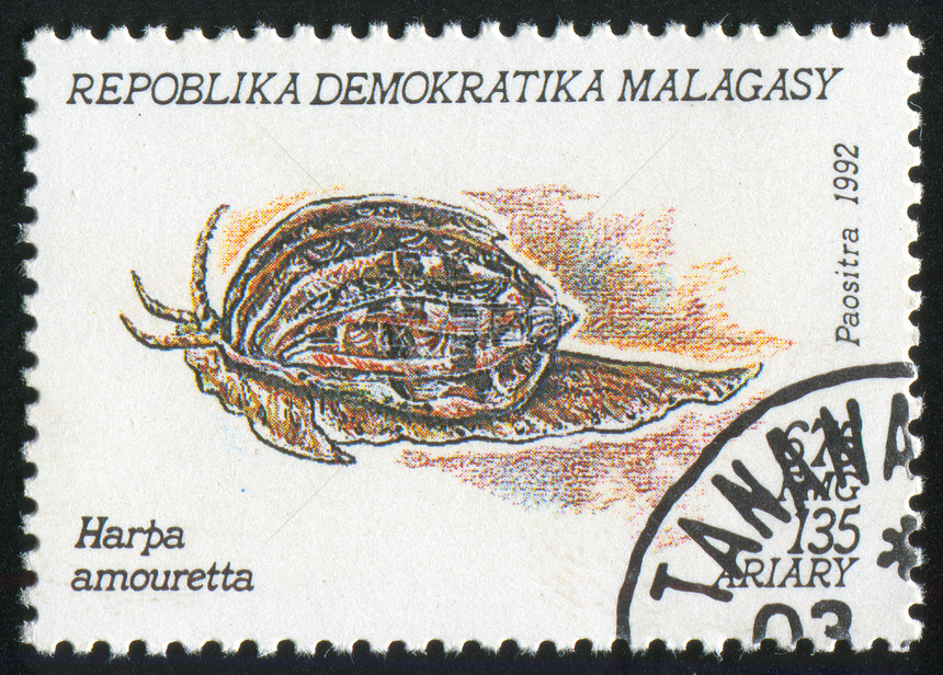 Mollusk 摩卢斯邮戳喇叭邮件动物身体明信片古董信封海豹贝类图片