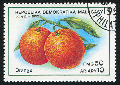 橙子明信片细胞水果枝条静脉热带植物群历史性邮票古董背景图片