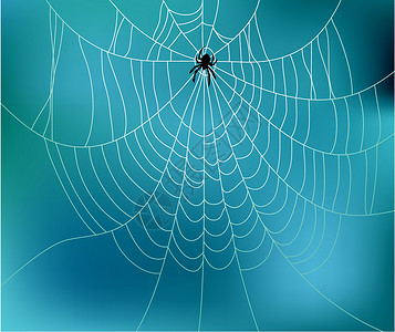 蓝色网矢量蜘蛛和网络商业卡通片建造插图陷阱蓝色框架灰色装饰品墙纸插画
