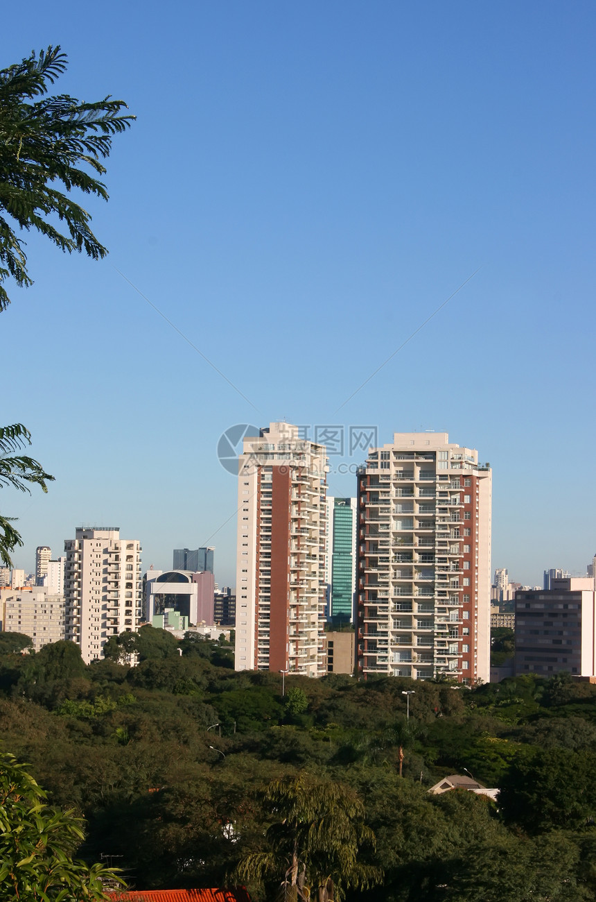 查看圣保罗景观城市市中心绿色场景摩天大楼公园植物建筑中心图片