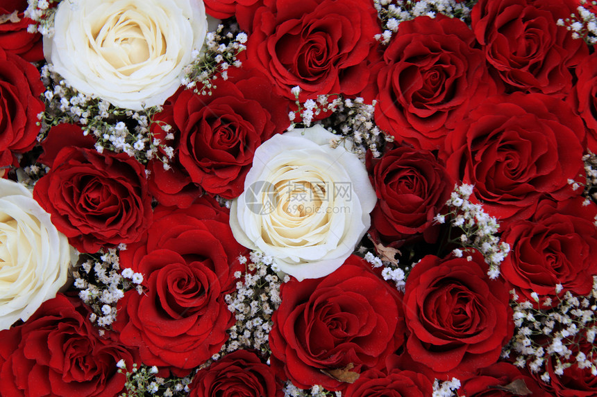 在情人节花束中的红玫瑰和白玫瑰图片