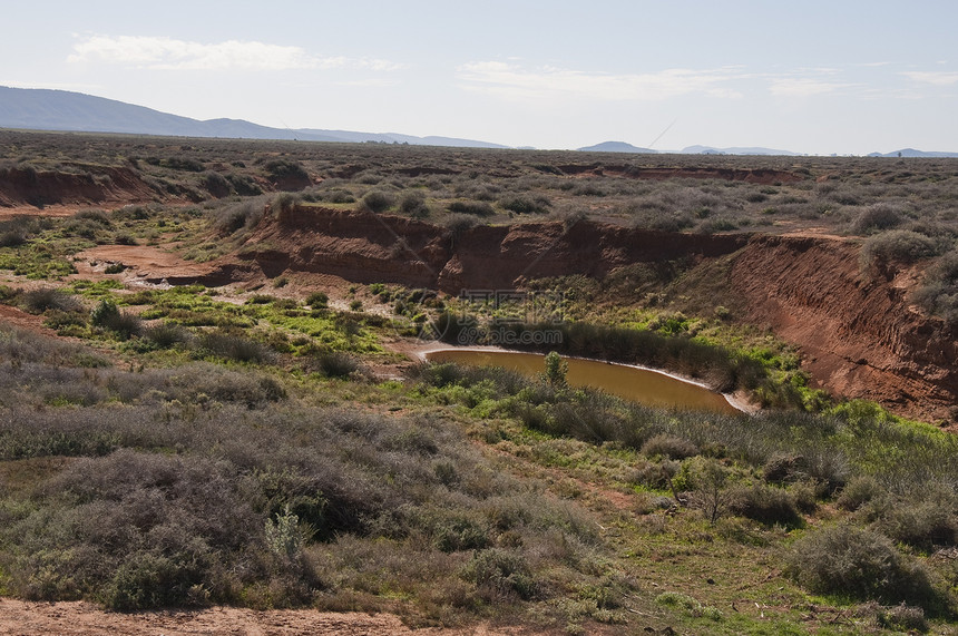 向后退领土红色沙漠衬套风景荒野国家岩石旅游旅行图片