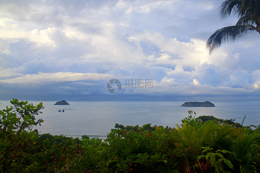 哥斯达黎加风景热带植物群藤蔓海洋丛林赤道植物薄雾旅行森林图片