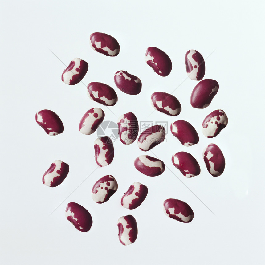 红豆食物红色种子团体豆类粮食宏观植物图片