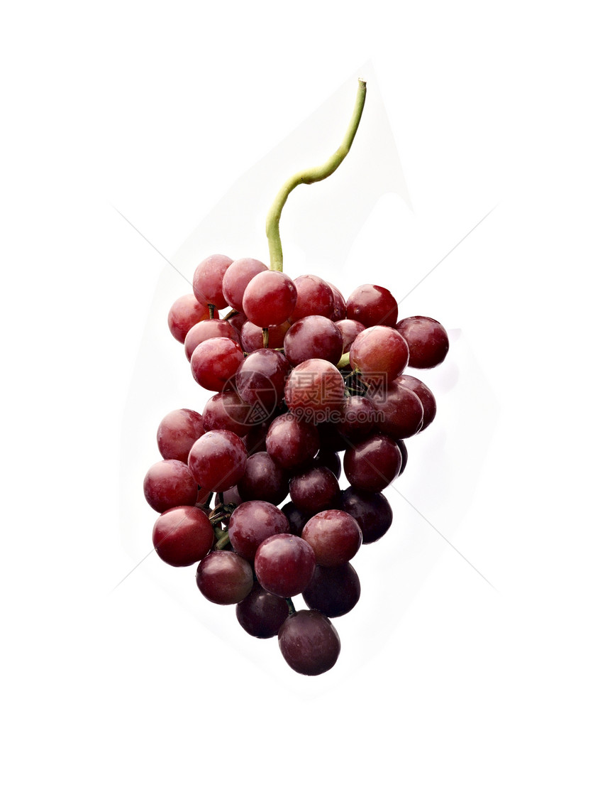 孤立的红葡萄藤蔓饮食甜点食物紫色酒厂葡萄园季节水果花园图片