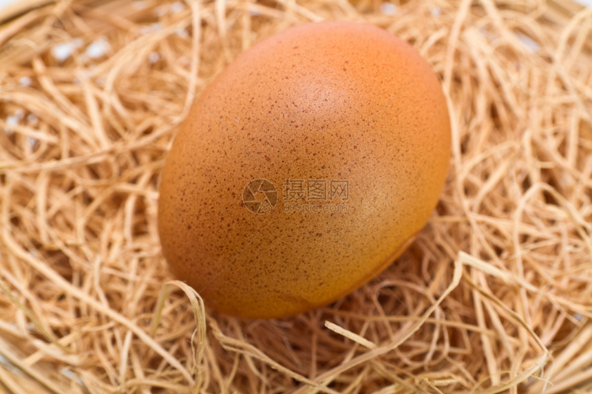 棕蛋在草床上图片