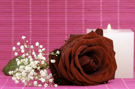 红玫瑰粉色浪漫恋情玫瑰红色水滴蜡烛茶色背景图片
