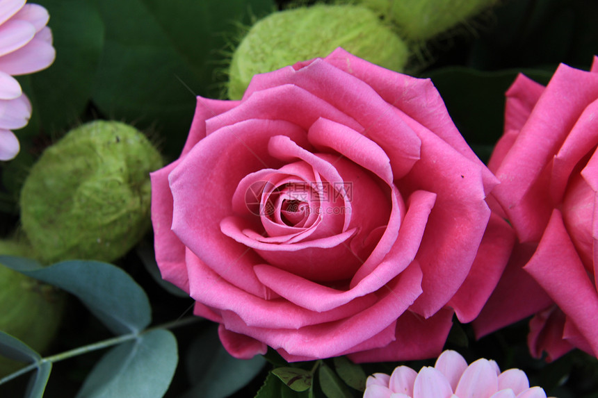 紧贴粉红玫瑰花束绿色植物群植物花朵花店花瓣粉色植物学图片