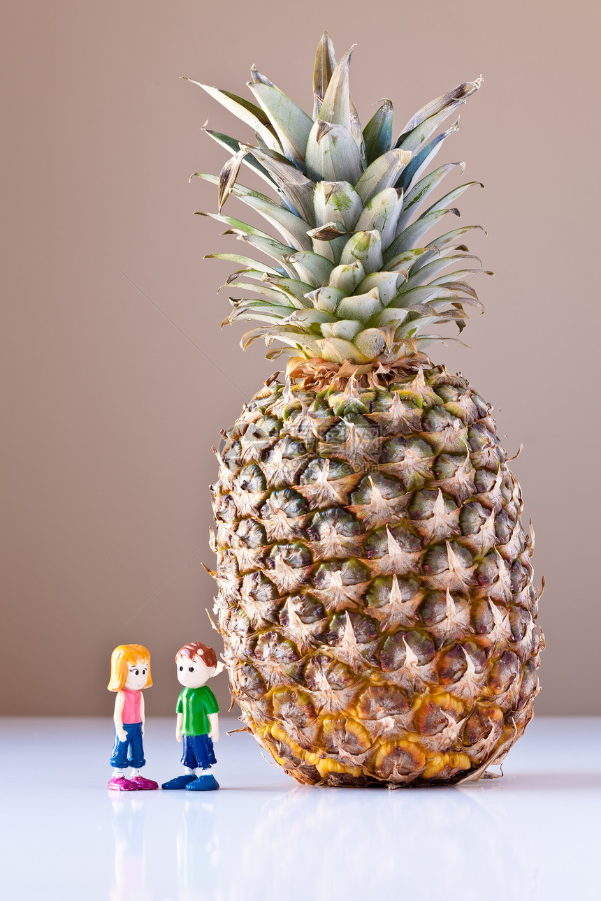 讨论健康营养问题(菠萝) (Pineapple)图片
