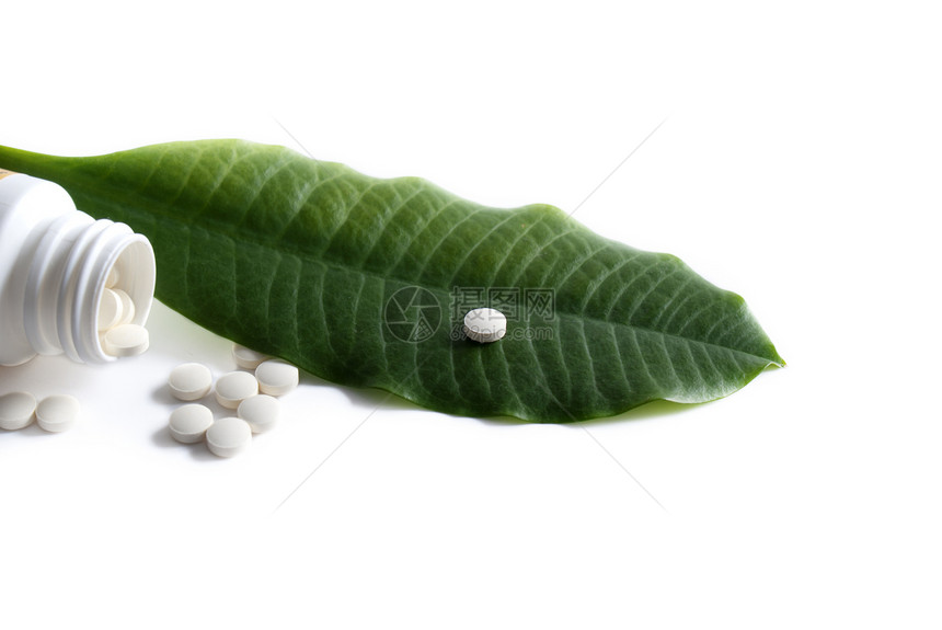 医药行业植物群白色植物绿色商业治疗医疗团体叶子药品图片