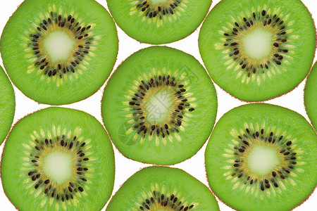 猕猴桃背景食物绿色水果点数白色背景图片