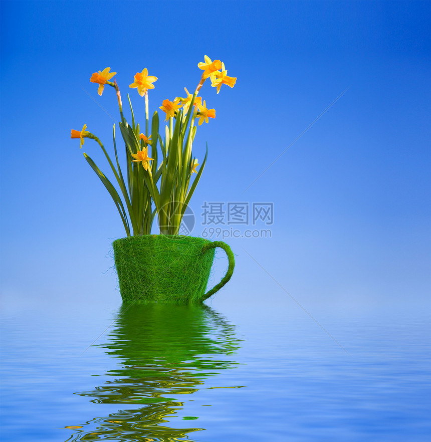 在水中花盆中的花朵图片