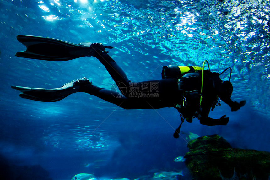 潜水在海洋水下乐趣运动气泡爱好热带太阳探索旅行浮潜游泳图片