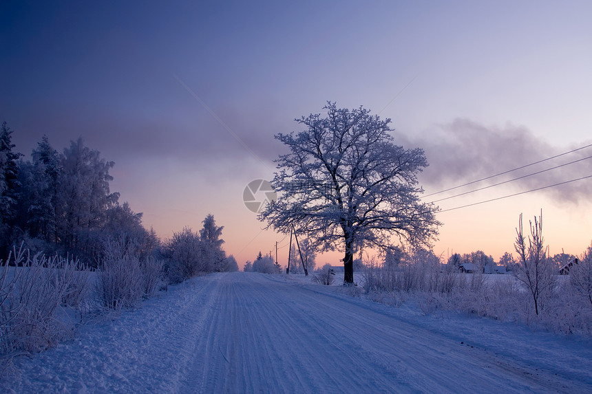 俄罗斯冬季寒意蓝色木头森林季节冻结雪景天空国家寒冷图片