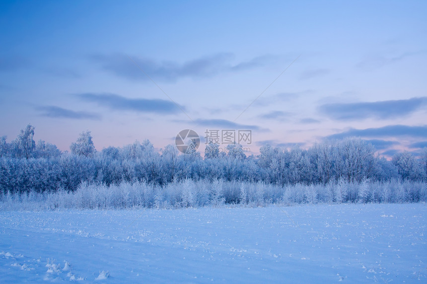 俄罗斯冬季雪花雪景冻结寒意森林天空场景季节风景蓝色图片