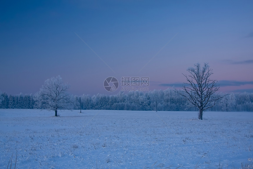 俄罗斯冬季雪花蓝色寒冷雪景场景森林冻结风景木头季节图片