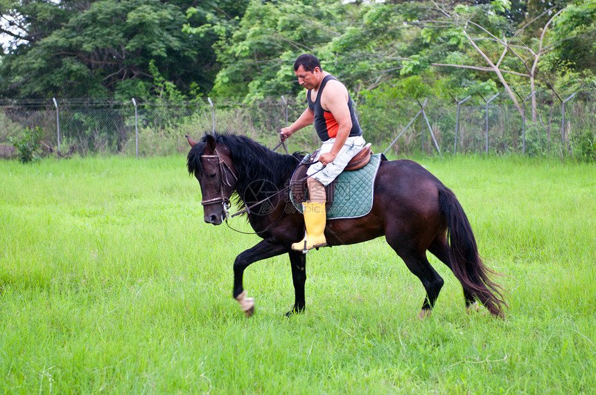 马和骑马者男人热带女士国家女孩绿色农场学校马匹动物图片