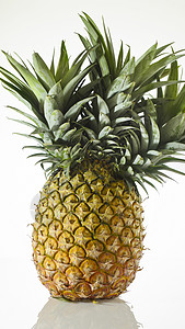 菠萝热带摄影外皮果皮水果生食背景图片