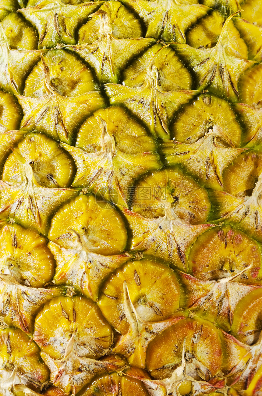 菠萝外皮生食热带果皮水果摄影图片