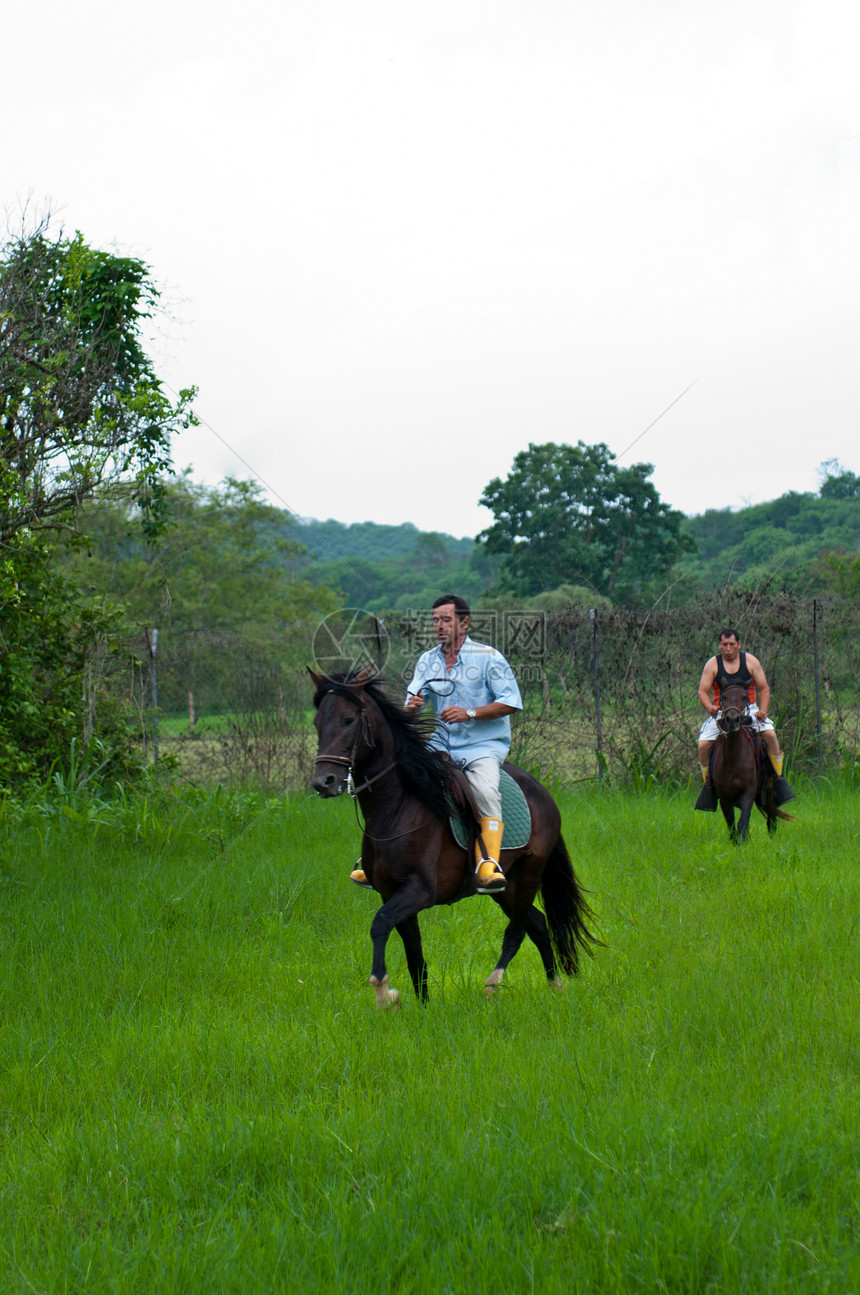 马和骑马者热带鞍座女士学校男人国家动物绿色马匹男生图片