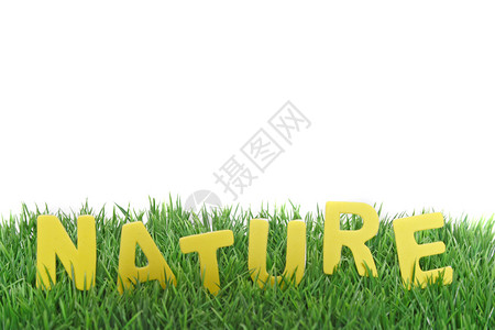 自然环境绿色生态生物学刻字白色背景图片