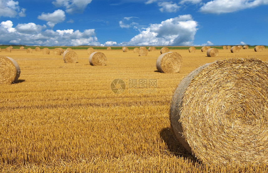 收获时间稻草收成场地技术天空乡村蓝色农业滚动多云图片
