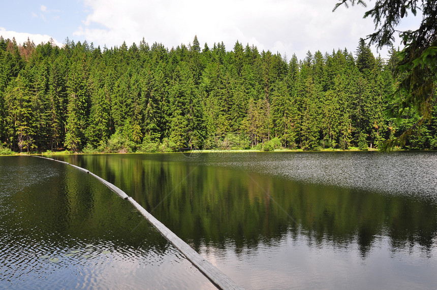巴伐利亚的Arber湖荒野木头森林旅行水域冰川支撑山脉银行图片