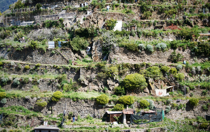 意大利辛克泰雷马纳罗拉环面山脉海岸假期图片