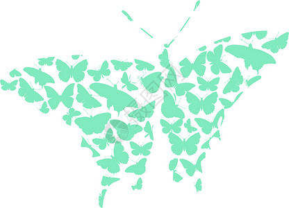 蝴蝶生物尾巴美丽孔雀翅膀花园航班警官花朵收藏背景图片
