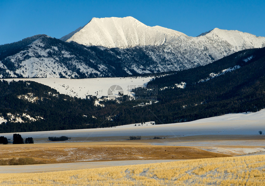 美国蒙大拿州公园县 冬季阳光峰和农场田图片