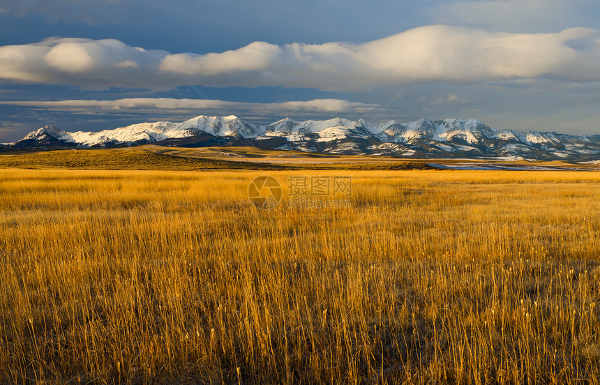 美国蒙大拿州公园县草原草 Briger山脉和晨光云雾图片