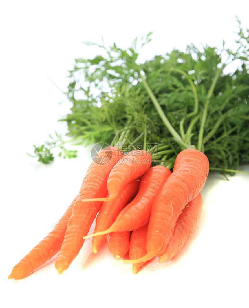 新鲜胡萝卜饮食营养食物维生素蔬菜绿色植物白色萝卜图片
