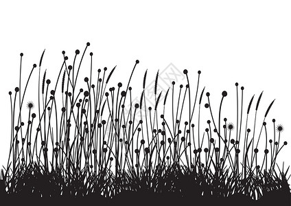 草绘画花园草地场地草叶黑色背景图片