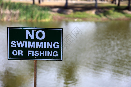 不准游泳池塘生命警告水池水平鳄鱼水坑高清图片