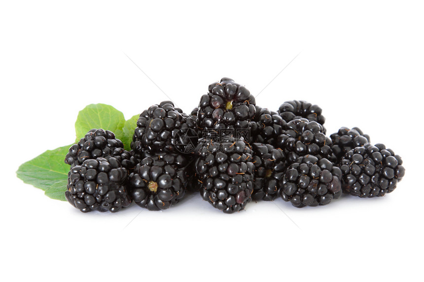 黑莓白色水果维生素食物健康营养饮食图片