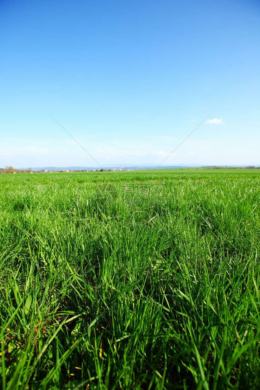 绿绿草阳光植物场景环境蓝色地平线远景太阳射线草地图片