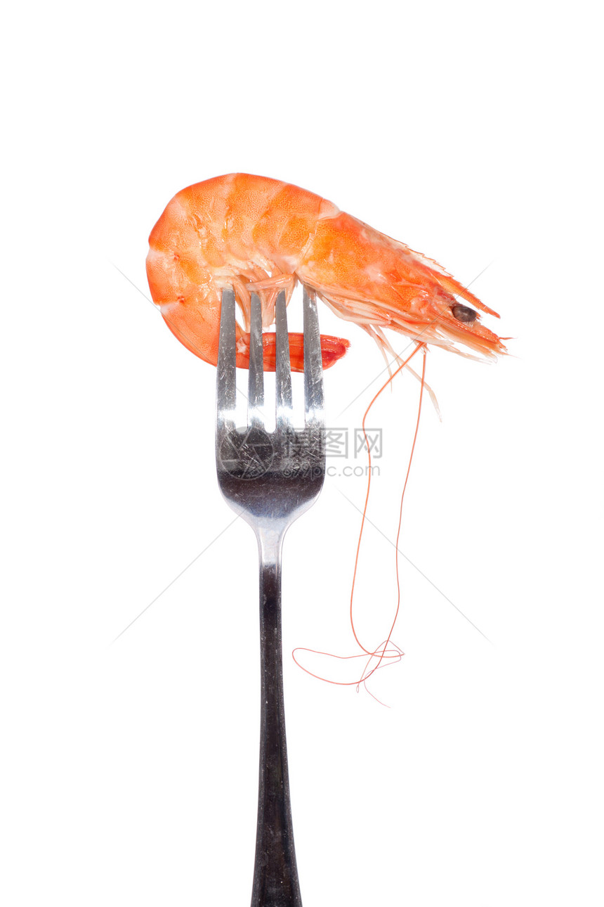叉子上的虾海鲜贝类食物宏观水果季节白色老虎红色动物图片