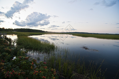 沼泽池塘湿地草原水路水平风景背景图片