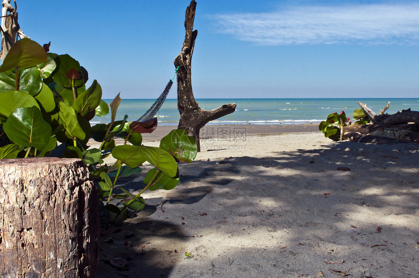 厄瓜多尔海湾中废弃的海滩吊床沙漠旅游绿色假期小屋植被海岸旅行丛林图片