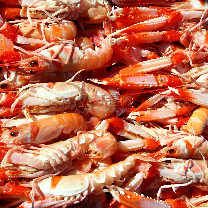 Norvegicus海产食品市场用餐贝类动物海洋肾病营养小龙虾熟食美食餐厅图片