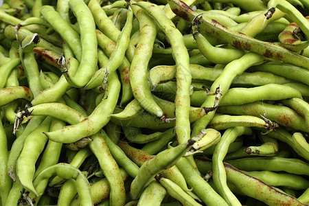 Lima豆类蔬菜食品质料高清图片