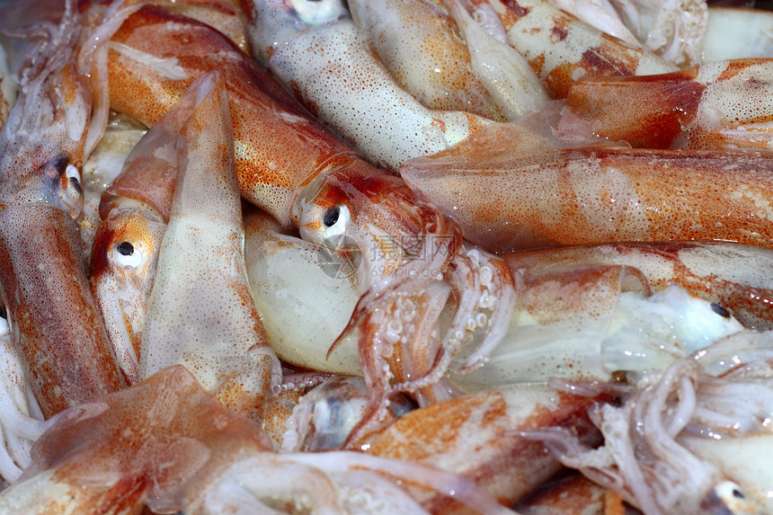 托泰纳地中海鱿鱼海产海鲜市场图片