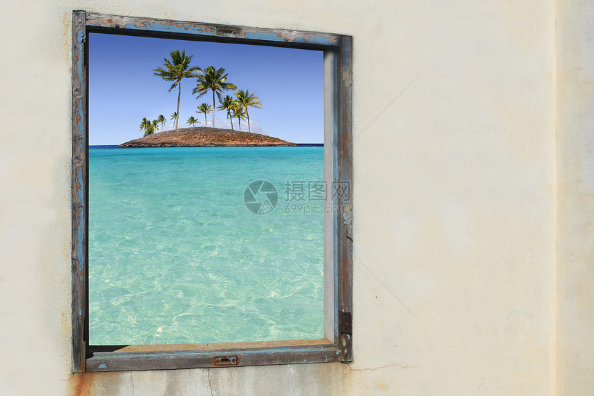 热带棕榈树的热带棕榈树天堂岛窗口图片