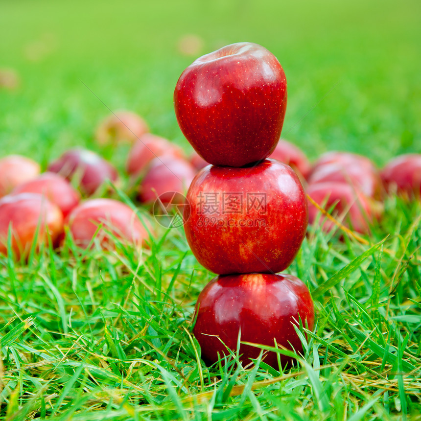 三个红苹果堆在草地上美食森林季节水果花园农场野餐午餐收获国家图片