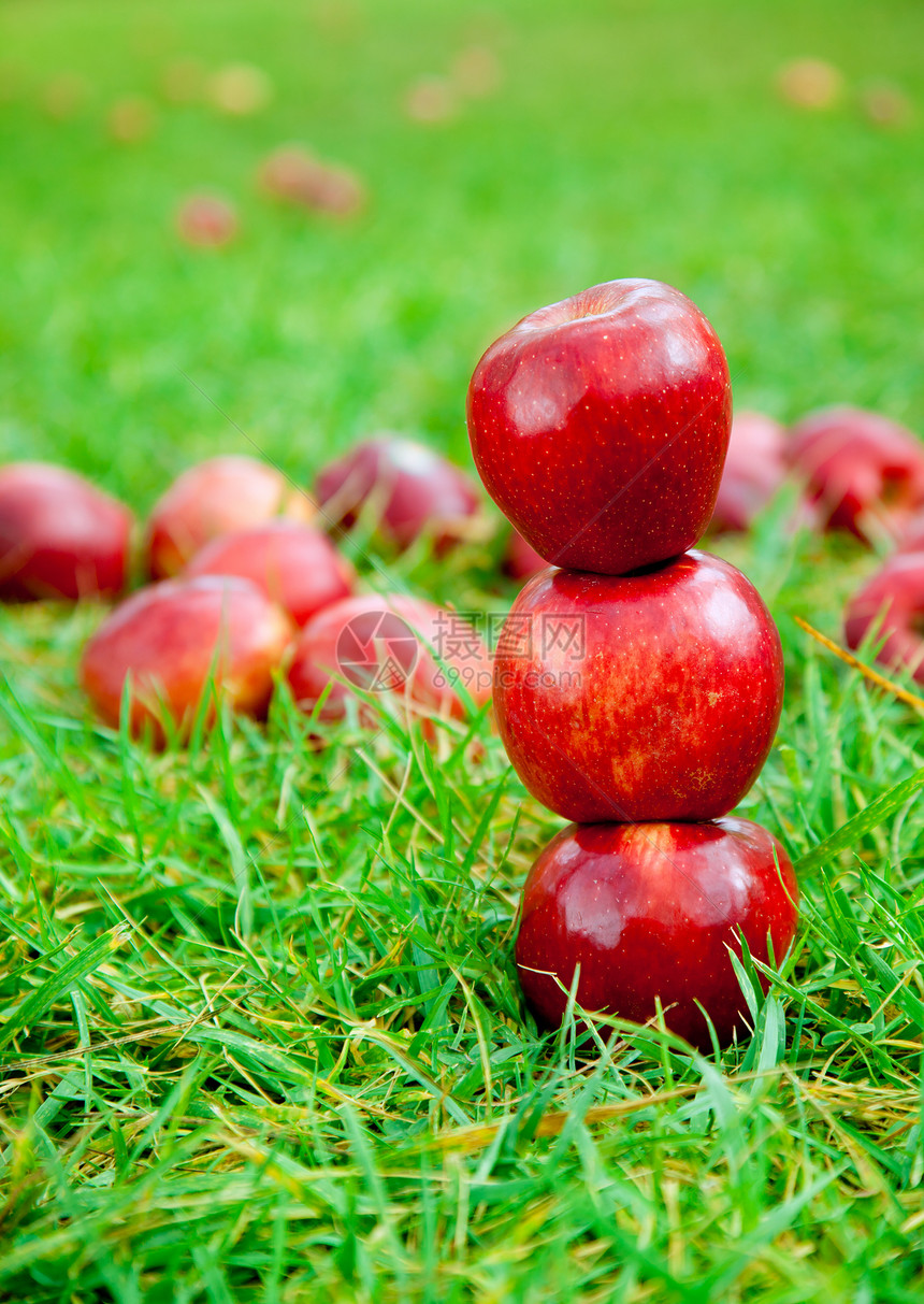 三个红苹果堆在草地上野餐美食农场季节食物午餐花园收获国家场地图片