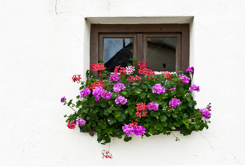 巴伐利亚窗口框架住宅玻璃花瓣植物学木头合页装饰酒吧盒子图片