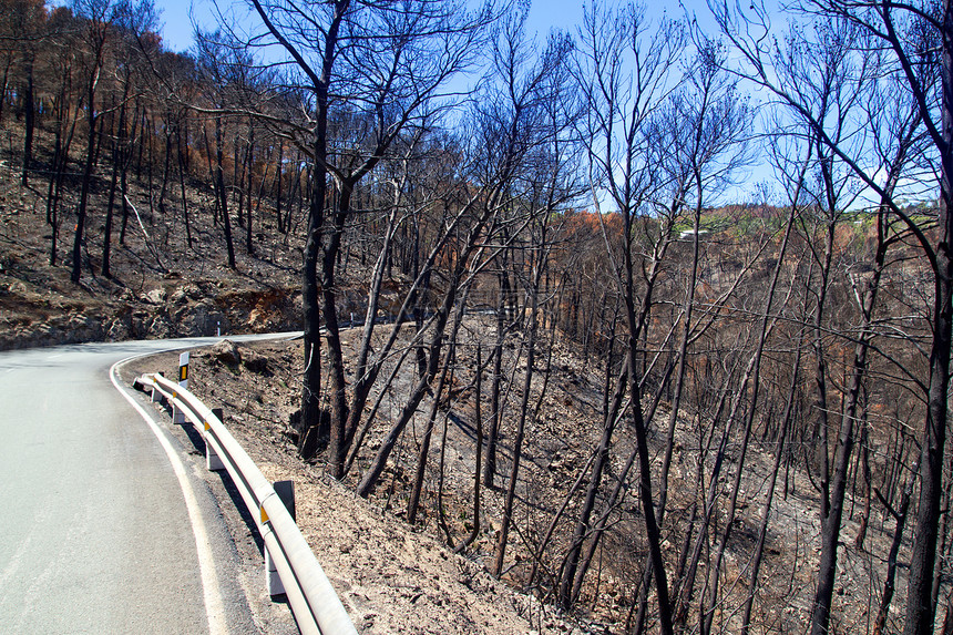 Ibiza在2011年5月的黑色春天树木旅游环境生态灾难煤炭煤渣天空林业火焰图片